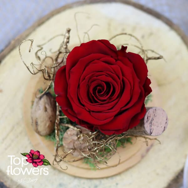 Eternal Rose in a Glass Sphere with Wooden Base | Red