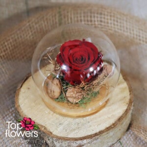 Eternal Rose in a Glass Sphere with Wooden Base | Red