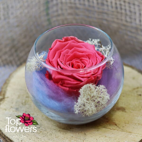 Eternal rose in glass sphere | CYCLAMEN