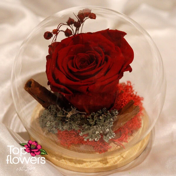 Eternal Rose in a Glass Sphere with Wooden Base | Red - Image 3