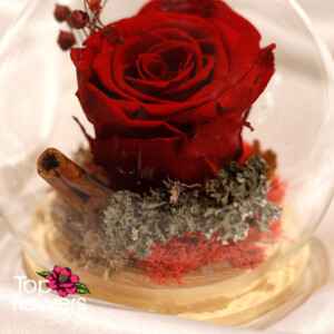 Eternal Rose in a Glass Sphere with Wooden Base | Red