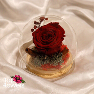 Eternal Rose in a Glass Sphere with Wooden Base | Red
