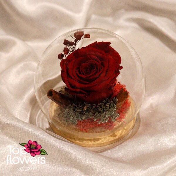 Eternal Rose in a Glass Sphere with Wooden Base | Red