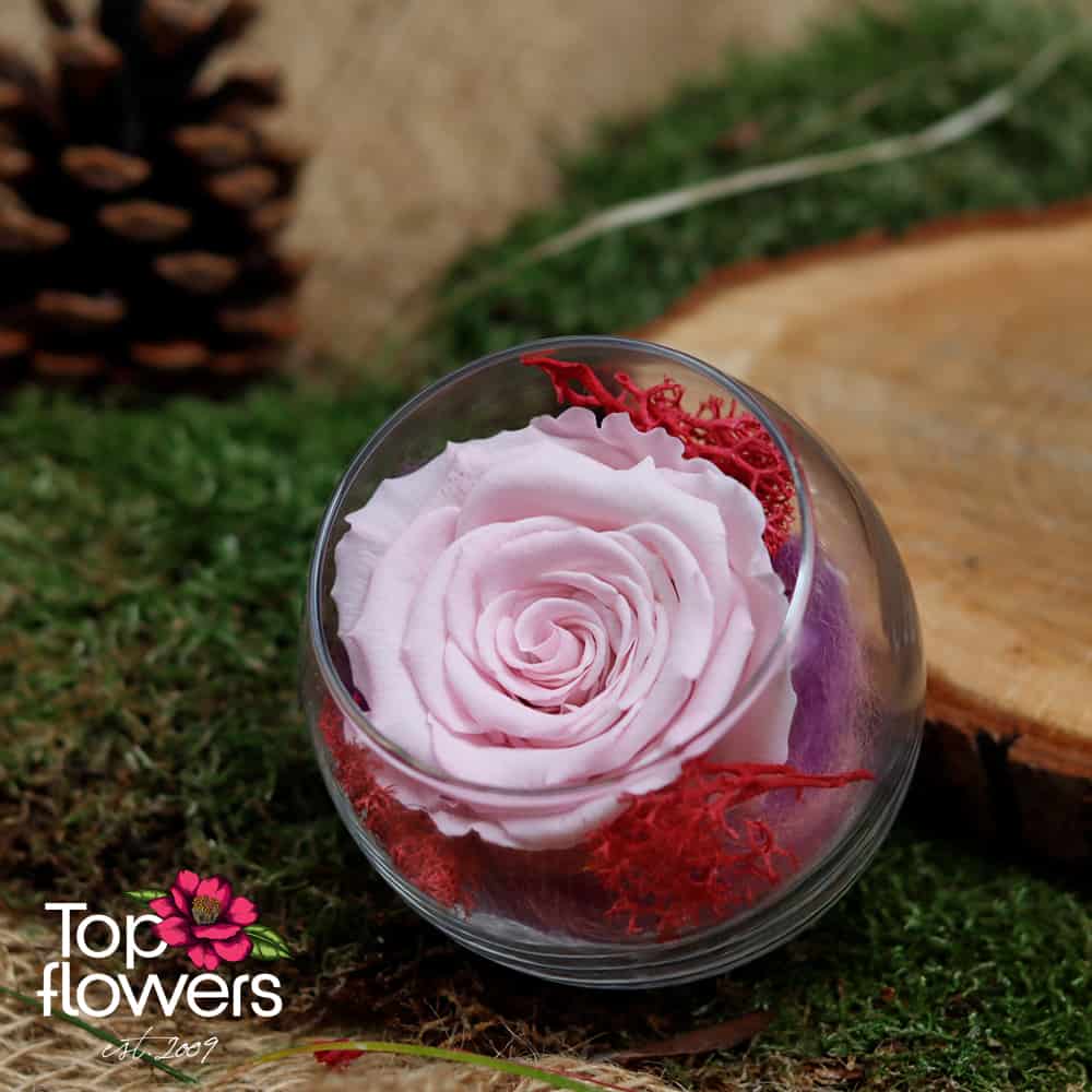 Eternal rose in glass sphere | PINK