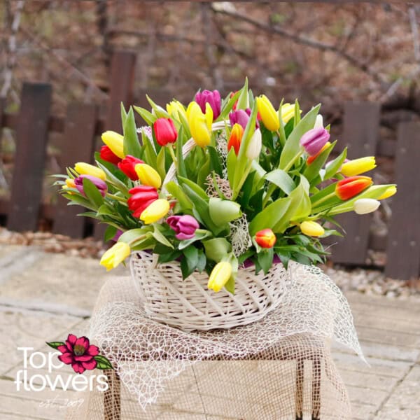 51 multicolored tulips | Basket