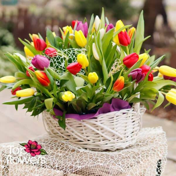 51 multicolored tulips | Basket