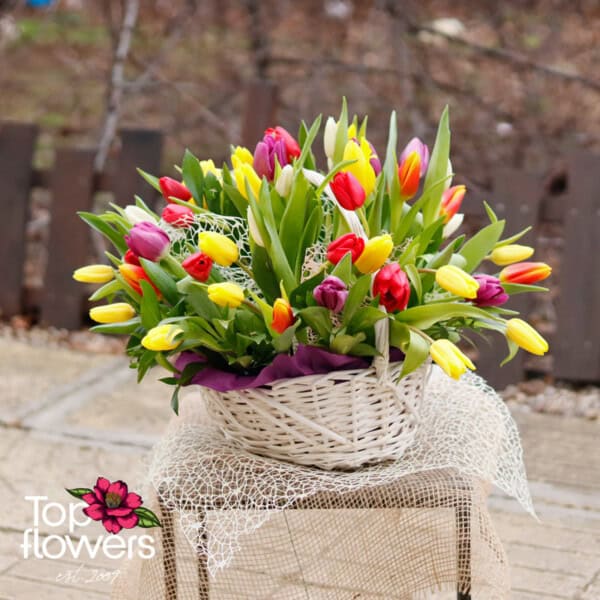 51 multicolored tulips | Basket