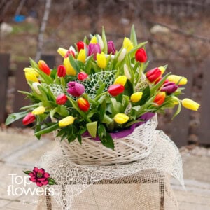 51 multicolored tulips | Basket