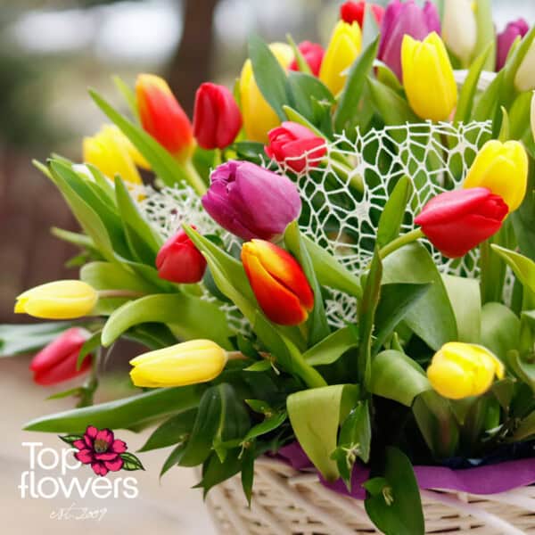 51 multicolored tulips | Basket