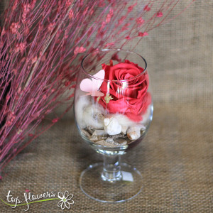 Eternal rose in a glass DARK PINK
