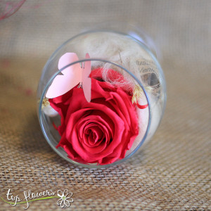 Eternal rose in a glass DARK PINK