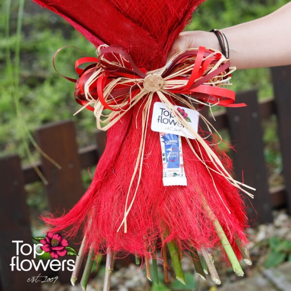 Fiery red | Boquet