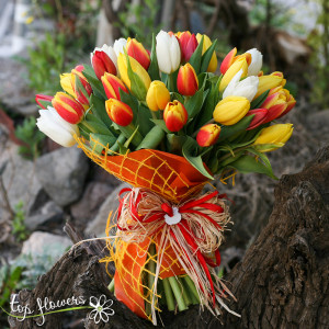 51 multicolored tulips | Bouquet