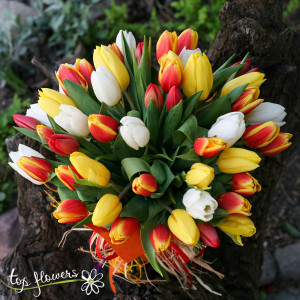 51 multicolored tulips | Bouquet