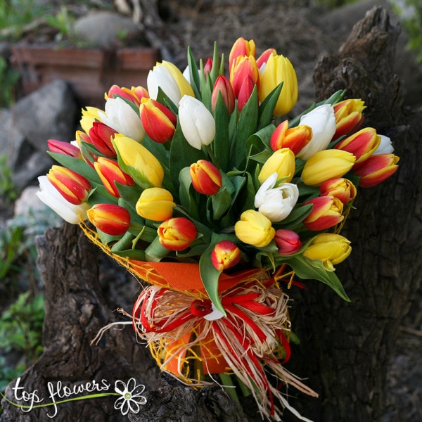 51 multicolored tulips | Bouquet