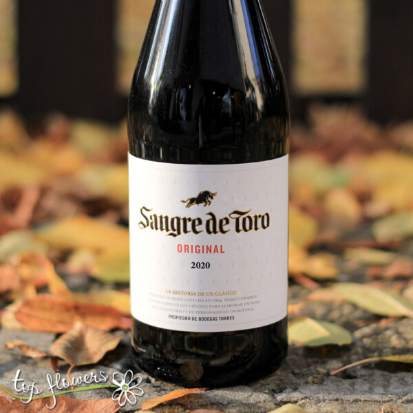Red wine Sangre de Toro