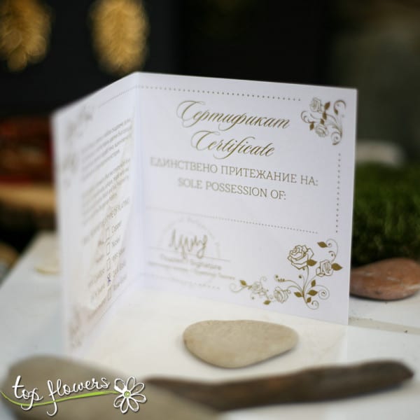Set "Fir branches" | GOLD