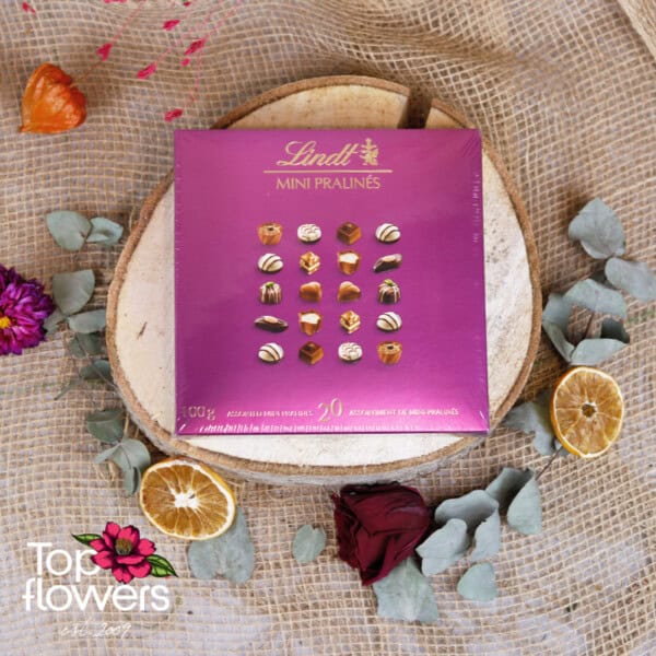 Chocolates Lindt | 100 gr.