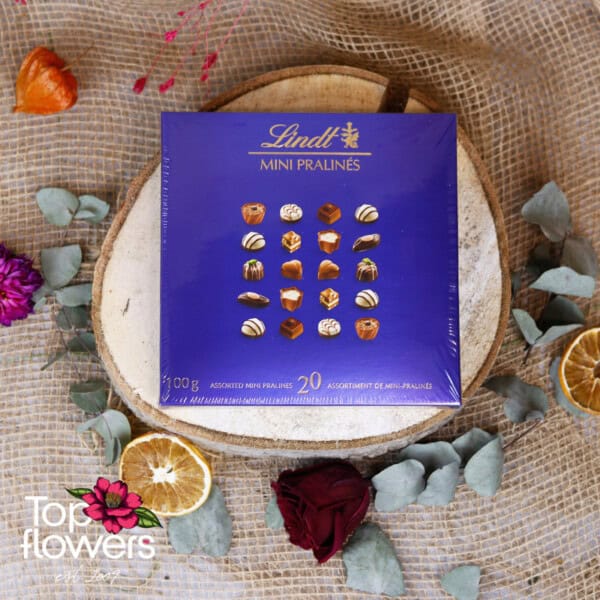 Chocolates Lindt | 100 gr.