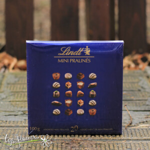 Chocolates Lindt | 100 gr.