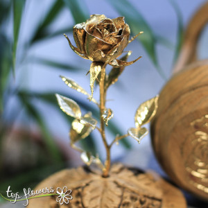 The gilded "Rose"