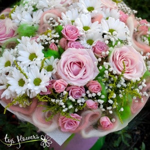Pink Delight