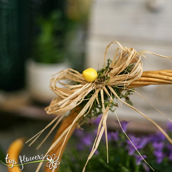 Basket of live plants and bulbs | Campanula