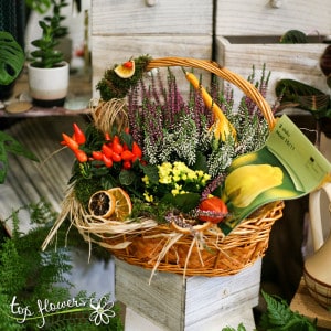 Basket of live plants and bulbs | Kaluna