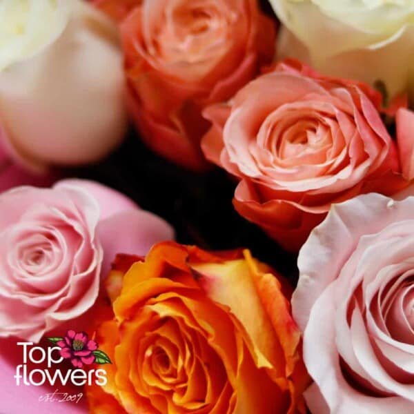 Кръгъл букет от 31 разноцветни рози