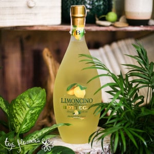 liqueur Bottega | Limoncino