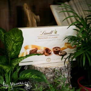 Chocolates Lindt | 125 gr.