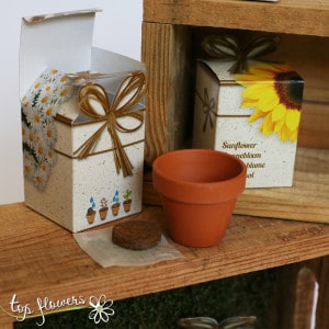 Planting set
