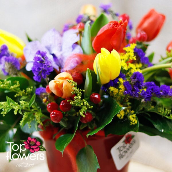 Trembly | Arrangement - Image 3