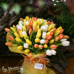 Bouquet of 101 Tulips | Multicolored