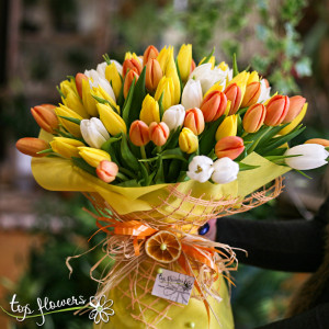 Bouquet of 101 Tulips | Multicolored