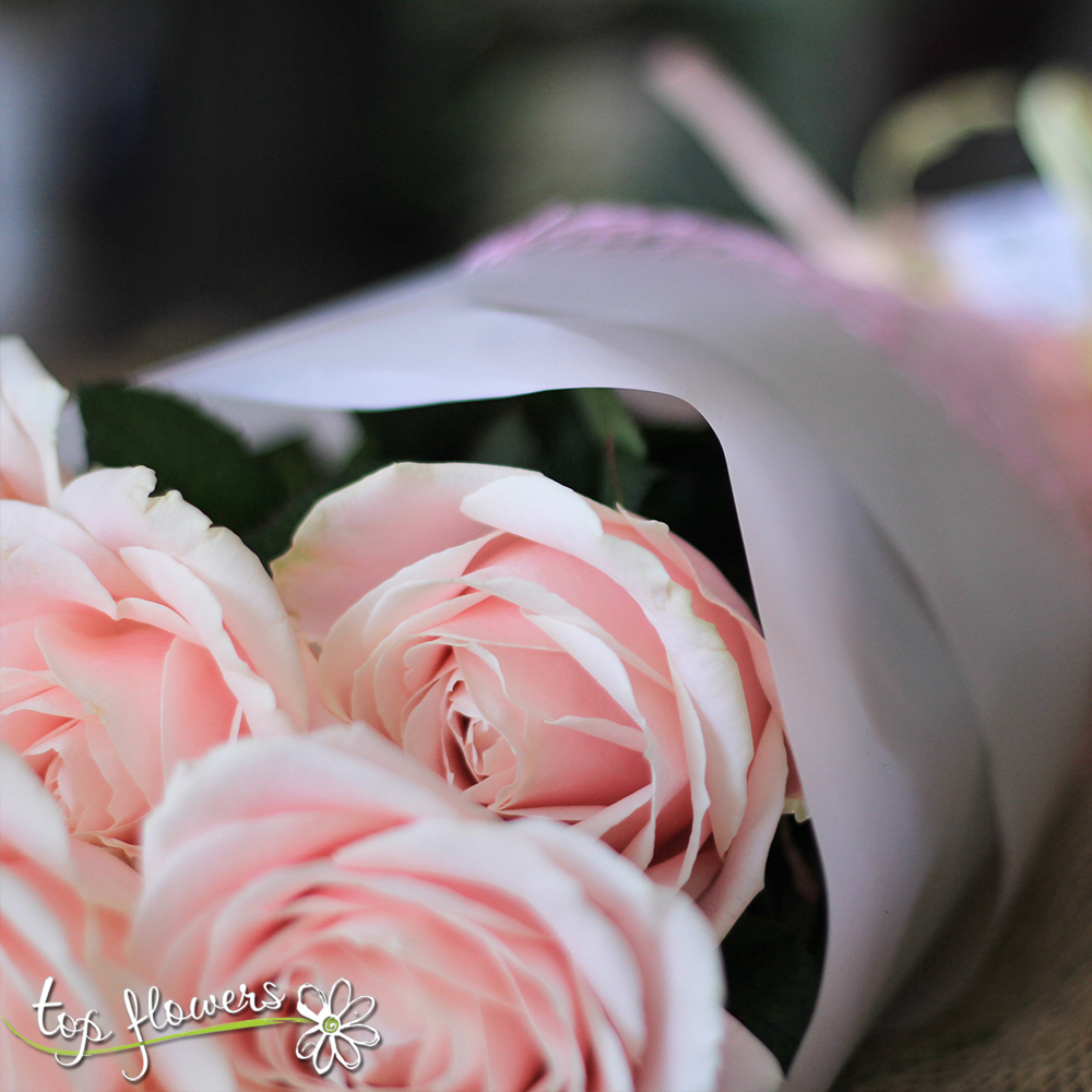 Класически букет от 11,15 или 21 розови рози. Доставка от Top-Flowers