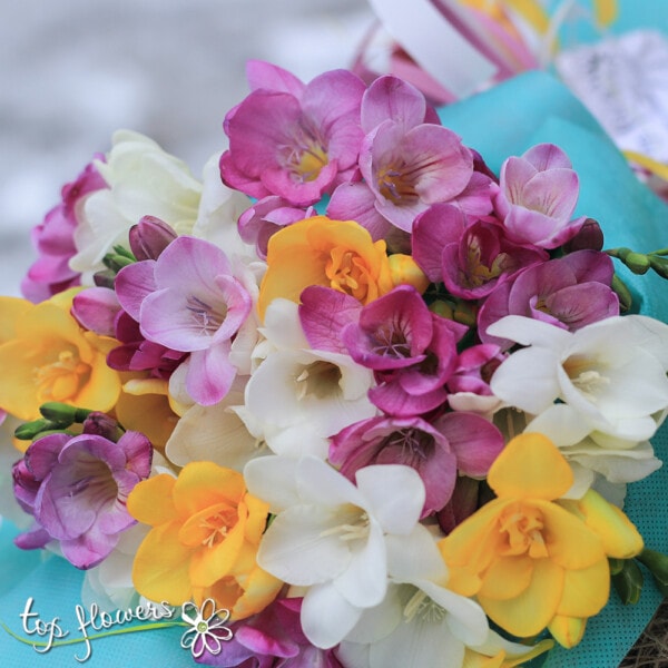 Classic bouquet | Freesias