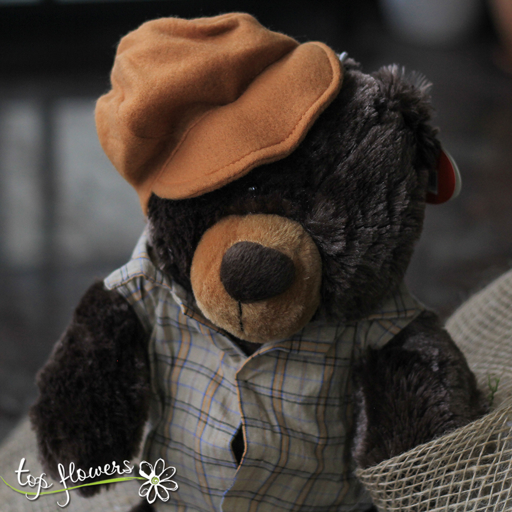 Teddy bear with shirt and hat 25 cm. Top