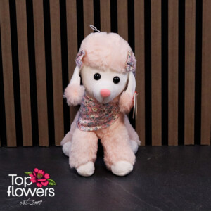Poodle with Towel Pink | 24 cm.