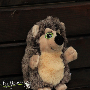 Hedgehog with green eyes | 17 cm.