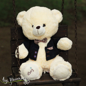 Teddy bear with clothes Boy | 42 cm.