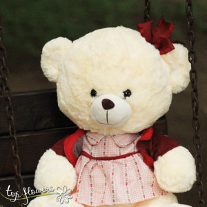 Teddy bear with clothes Girl | 42 cm.