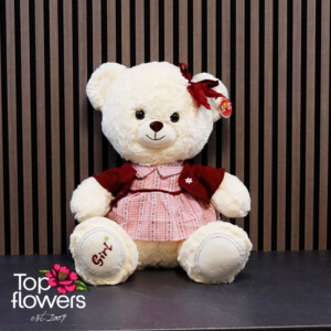 Teddy bear with clothes Girl | 42 cm.