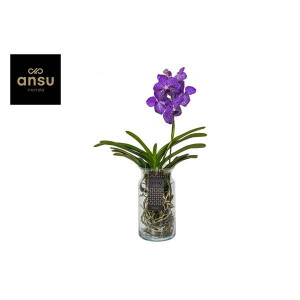 Vanda Bose Xl Blue | Delivery up to 11 days