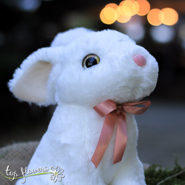 White bunny with ribbon | 25 cm.