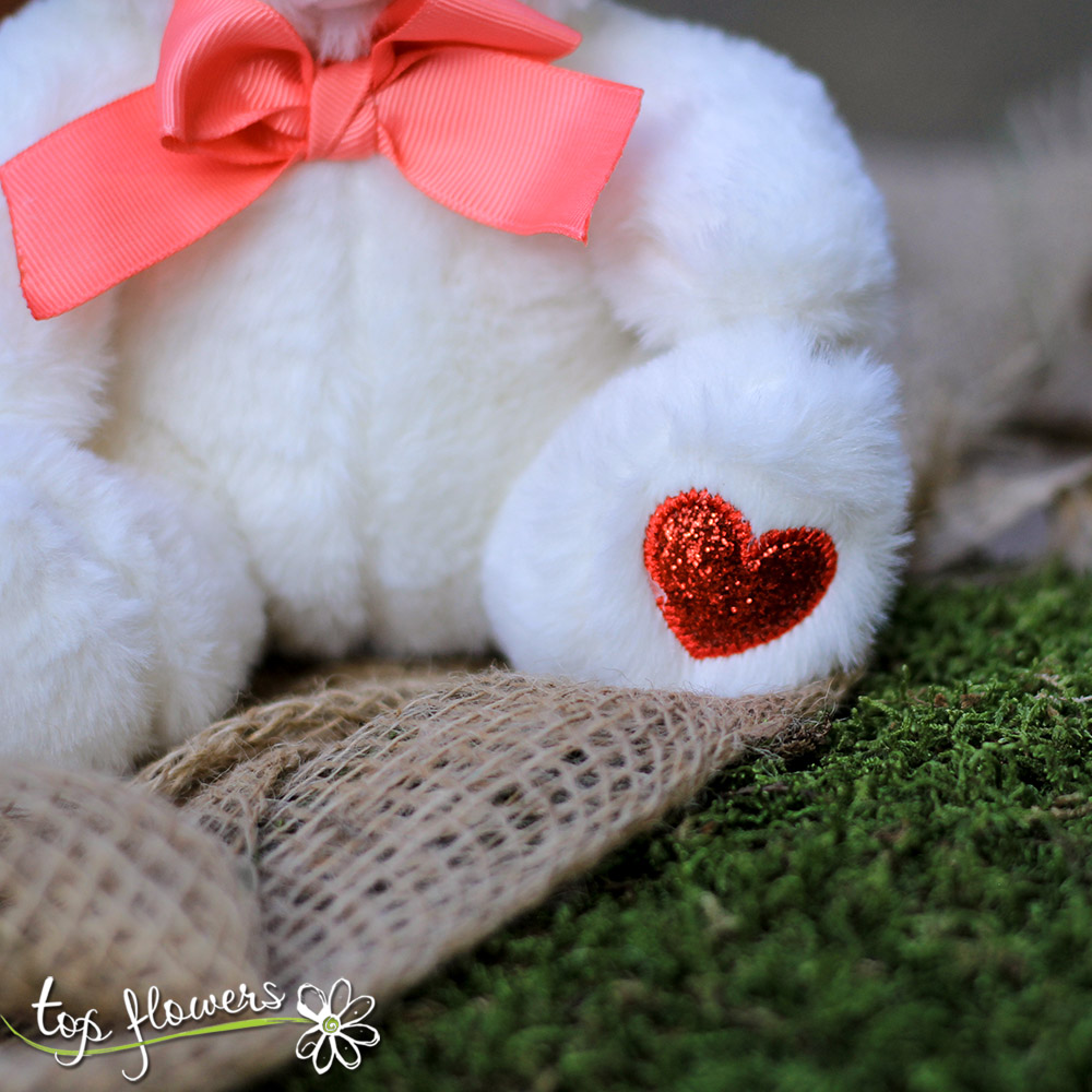 Bear with a ribbon Beige | 20 cm.