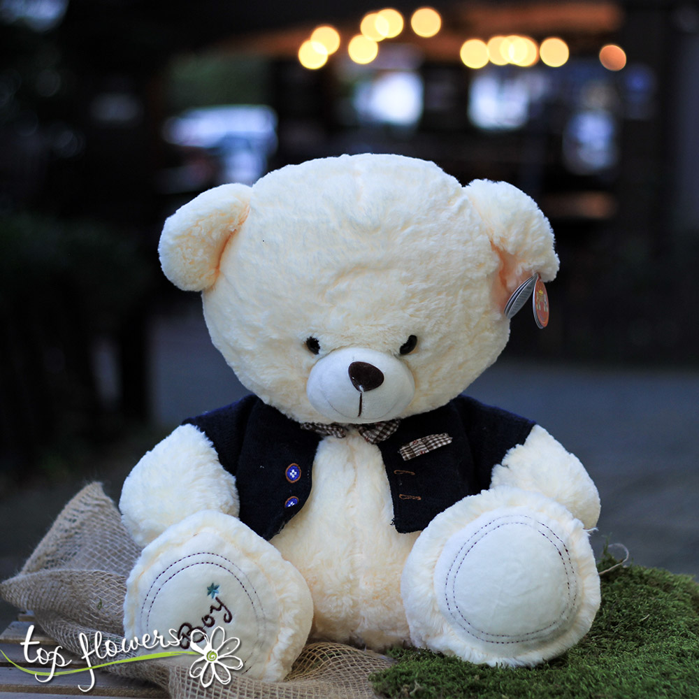 Teddy bear with clothes Boy | 42 cm.