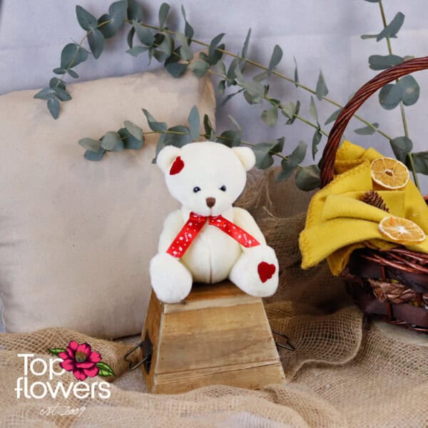 Teddy bear with red ribbon White | 20 cm.