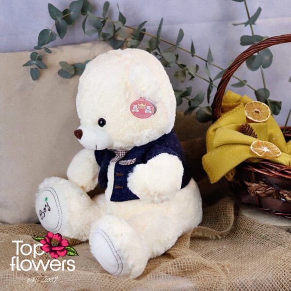 Teddy bear with clothes Boy | 42 cm.