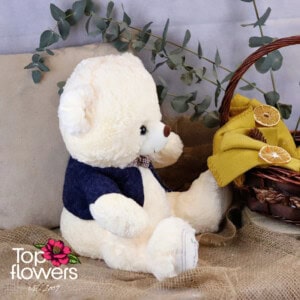 Teddy bear with clothes Boy | 42 cm.